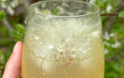 Gin tonic lime et sirop de safran